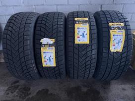 Deli Tire Delinte Winter WD6, žieminės 225/55 R17