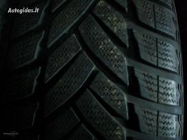 Dunlop (ZieminesUniversaliosVasarines, universalios 205/55 R16