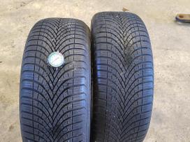Dunlop All season 2, всесезонные 205/50 R17