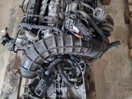 Kia Ceed, D4fb, gearbox, engine
