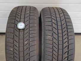 Continental Winter contact TS 870P, winter 225/55 R18