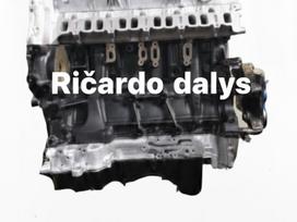 Ford Ranger, SAFA SA2R SA2S SA2W ENSA, Safa sa2r sa2s sa2w ensa pilnai restauruotas variklis visos d