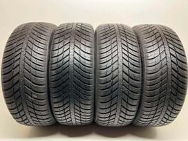 Nexen N-Blue 4Season 2024m, зимние 195/55 R16