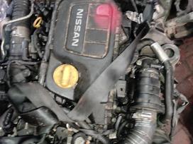 Nissan X-Trail Tik variklis ir dėžė