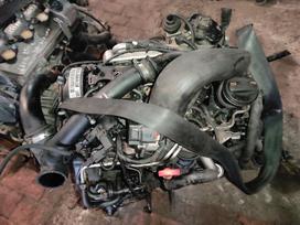 Volkswagen Transporter Tik variklis ir dėžė caa kodas