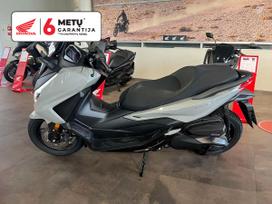 Honda Forza 330cc, мотороллеры / мопеды