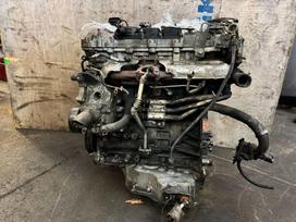 Chevrolet Captiva, Z22D1, Variklis parduodamas plikas