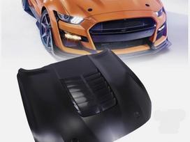 Ford Mustang dangtis (priekinis, galinis)