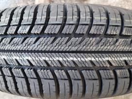 Goodyear Eagle Vector EV 2 All Weather, universalios 195/65 R15