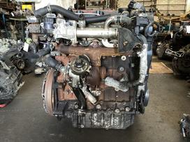 Peugeot 807, 10DYXC / RHJ, gearbox, engine
