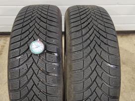 Semperit Speed grip 5, all-season 185/65 R15