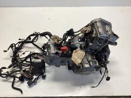Suzuki DL (V-Strom), touring / sport touring