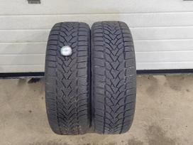 Uniroyal Winter expert, winter 205/55 R16