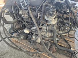 Fiat Ducato Pilnas variklis rida 120 000km