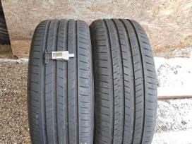Bridgestone Alenza 001, vasarinės 265/45 R21