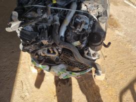 Mercedes-Benz E klasė, 642850, engine