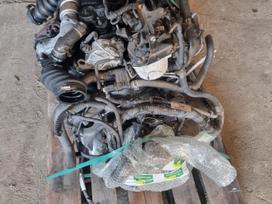 Ford Tourneo Connect, T1GA, gearbox, clutch kit, engine