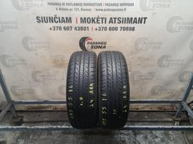 -Kita- Hilo Genesys XP1, vasaras 195/55 R16