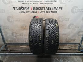 Goodride Z-401, vissezonas 205/55 R17