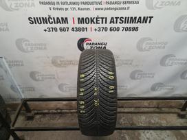 Goodyear Vector 4seasons Gen 2, vissezonas 245/45 R18
