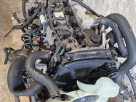 Ford Ranger, WLAE, gearbox, clutch kit, engine