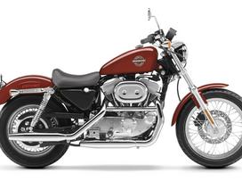 Harley-Davidson 883, čioperiai / kruizeriai / custom