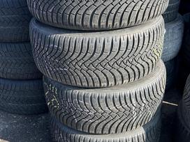 Falken, зимние 255/40 R19