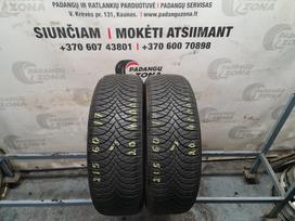 Goodride AllSeason Elite Z401, universalios 215/60 R17