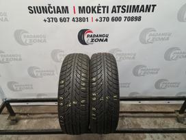 -Kita- STRIAL Touring, vasaras 175/65 R14