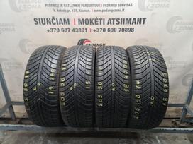 Goodyear Vector 4seasons, vissezonas 205/50 R17
