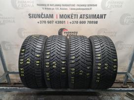 Maxxis All Season AP2, universalios 205/50 R16