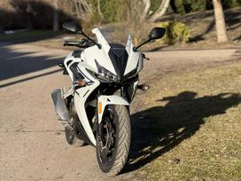 Honda CBR 500cc, superbikes