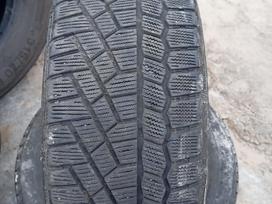 Gislaved, winter 195/55 R16