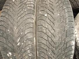 Nokian, winter 225/50 R18