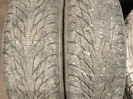 Nokian, winter 175/65 R15