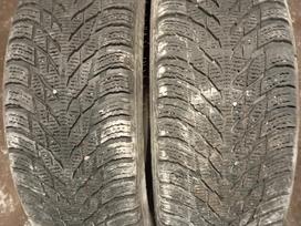 Nokian, winter 205/55 R16