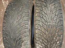 Nokian, ziemas 225/55 R17