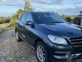 Mercedes-benz Ml250, 2.1 l., visureigis /