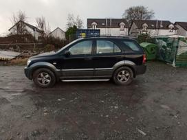 Kia Sorento dalimis