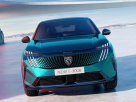 Peugeot 5008 dalimis. Naudotos detalės