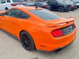 Ford Mustang, 5.0 l., kupė (coupe)