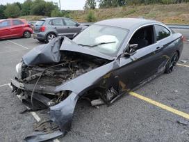 BMW 2 serija Variklis ir kiti agregatai dirbo tvarkingai