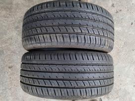 Radar Dimax R8+, летние 255/40 R19