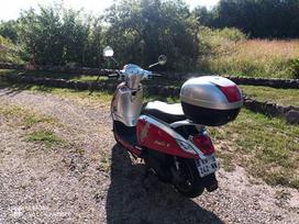 Sym -kita- 125cc, scooters / mopeds