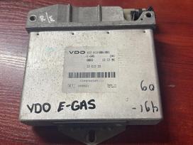 DAF EGAS, sunkvežimiai