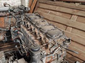 Scania Scania R440 variklis, тягачи