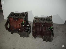 Ford Focus двигатель
