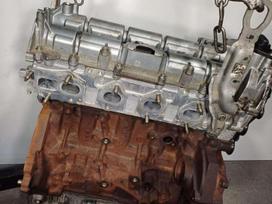 Ford Ranger, T20DDOJ YN2X, двигатель