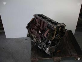 Ford Transit, YLFS YNFB YLFA BJFB BJFA, двигатель