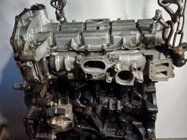 Ford Transit, YMF6, двигатель